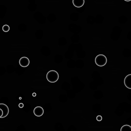 In this design, the arrow keys on the Makey Makey control the number of circles, while the size of their expansion is determined by the sound captured by the microphone.