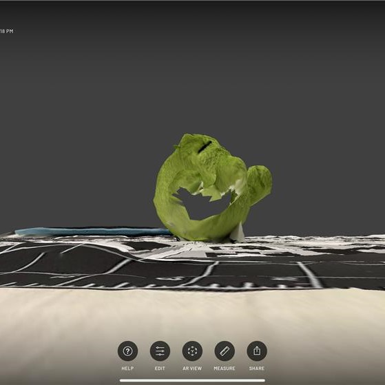 I then tried to scan the second item. It was a stuffed toy, and I thought it would scan well because it also has a rough material. But in reality, a huge hole was created because its arms were blocking part of its body. I then made more attempts, including lighting it, but the results were still unsatisfactory.